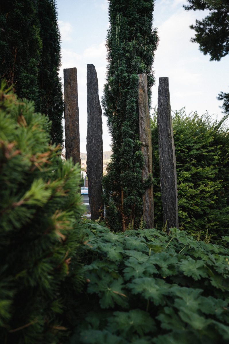 Gartenbau-Sichtschutz-scaled